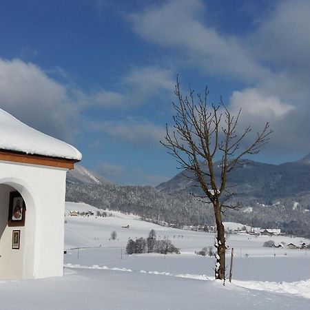 Weinbachbauer - Urlaub Am Bauernhof Villa Saint Wolfgang Buitenkant foto