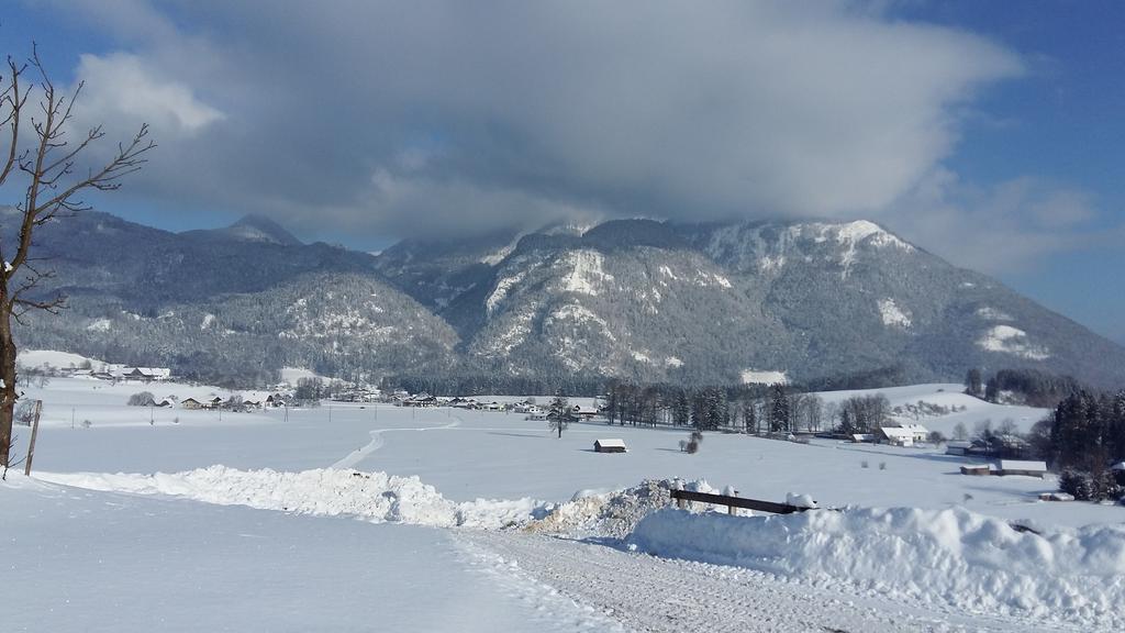 Weinbachbauer - Urlaub Am Bauernhof Villa Saint Wolfgang Buitenkant foto