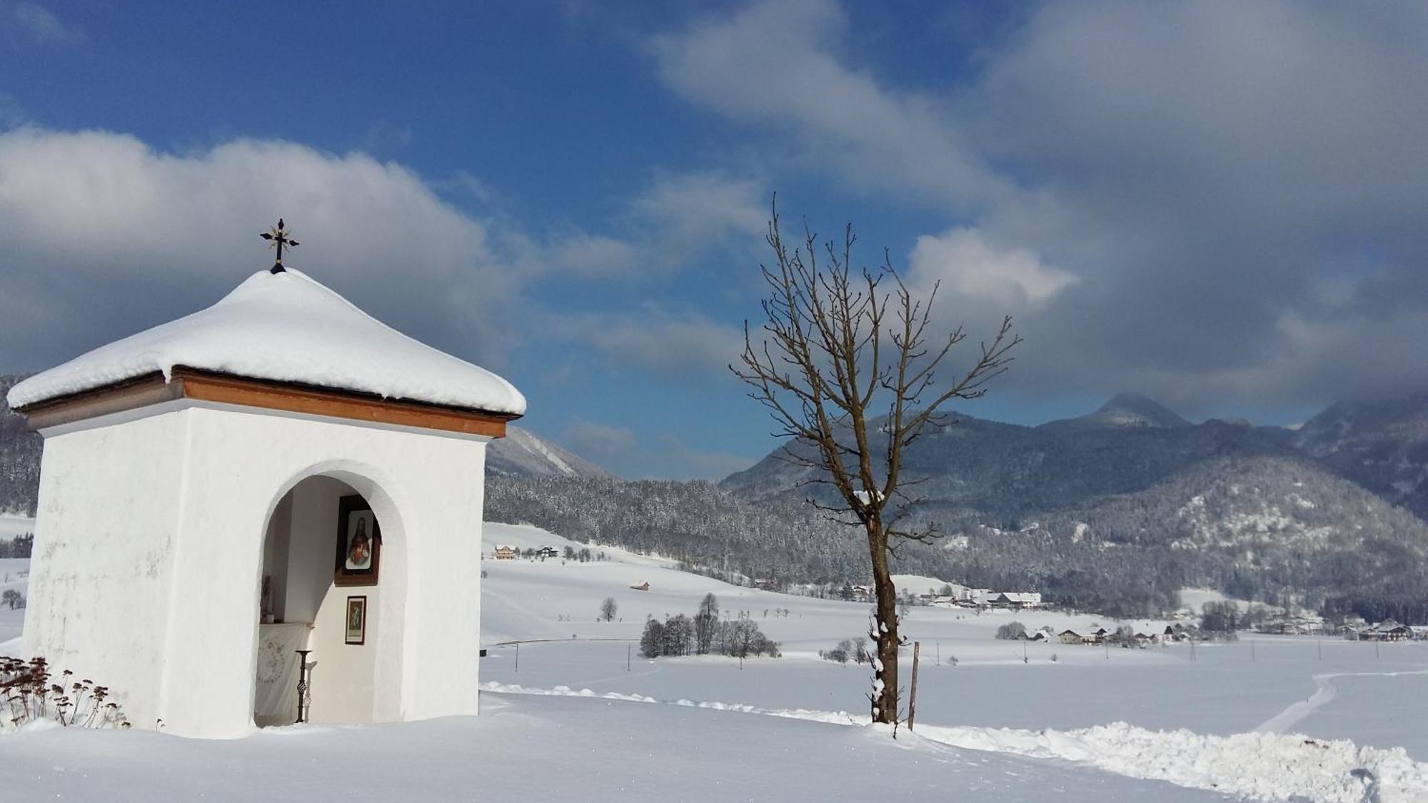 Weinbachbauer - Urlaub Am Bauernhof Villa Saint Wolfgang Buitenkant foto