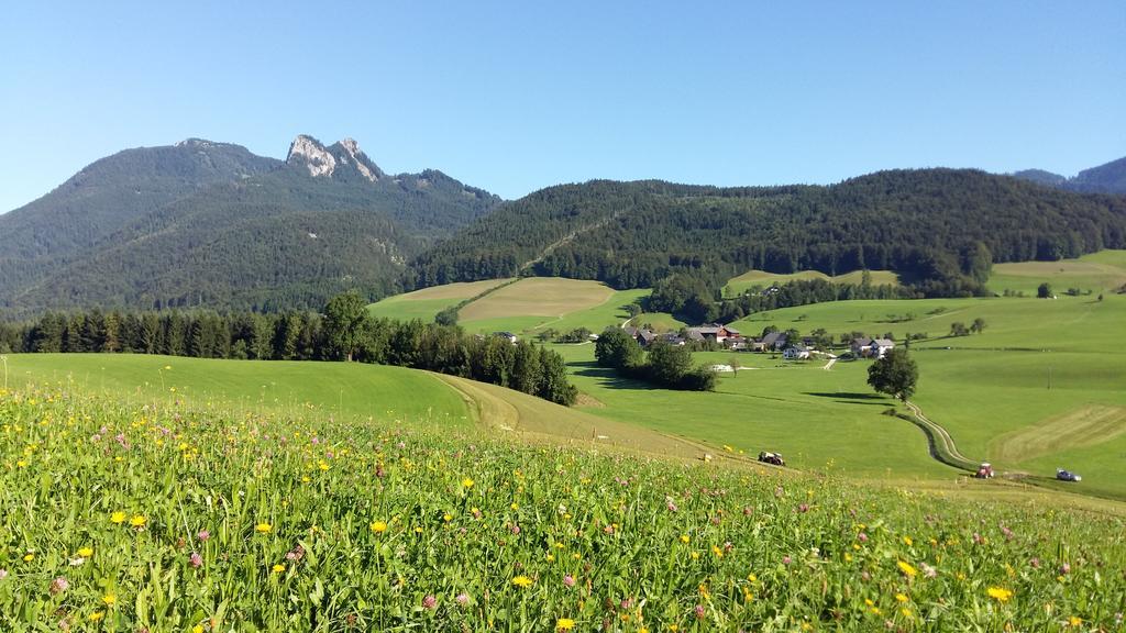 Weinbachbauer - Urlaub Am Bauernhof Villa Saint Wolfgang Buitenkant foto